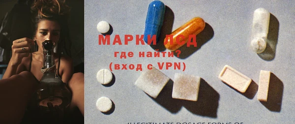 индика Богородицк