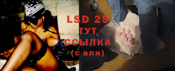 индика Богородицк