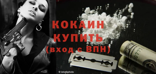 мдпв Богданович
