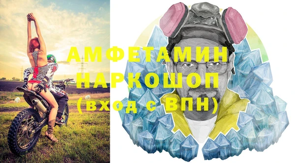 индика Богородицк