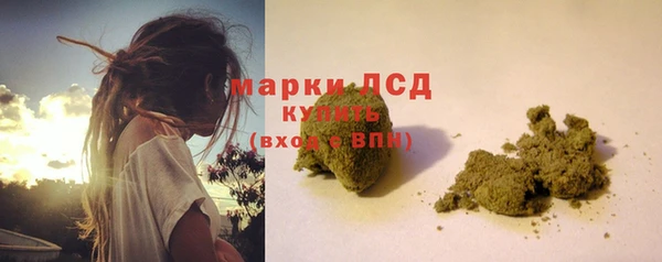 мдпв Богданович