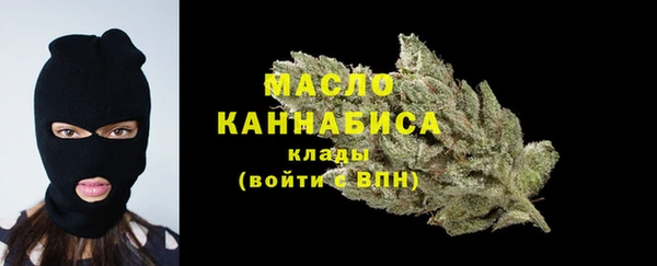 индика Богородицк