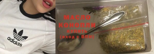 индика Богородицк
