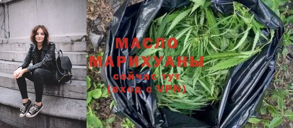 индика Богородицк