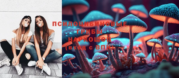мдпв Богданович