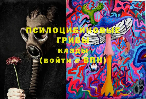 индика Богородицк