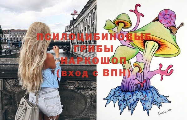 индика Богородицк