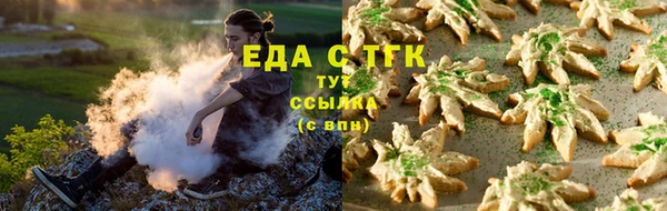 индика Богородицк