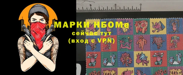индика Богородицк