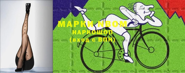 мдпв Богданович