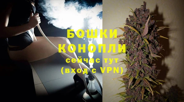 индика Богородицк