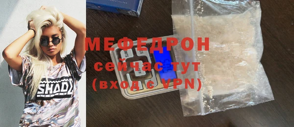 индика Богородицк
