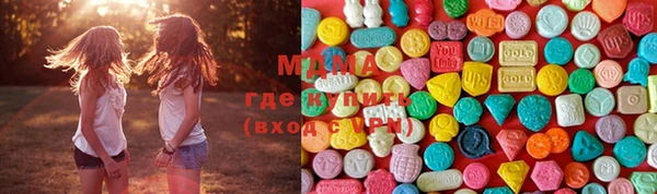 индика Богородицк