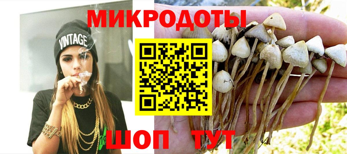 Псилоцибиновые грибы GOLDEN TEACHER Реж