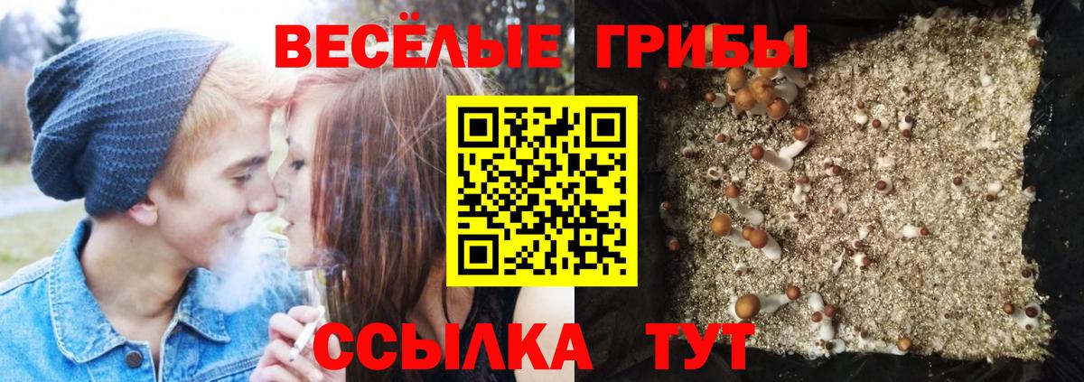 Псилоцибиновые грибы Magic Shrooms  Галлюциногенные грибы Psilocybe  Вход с VPN  Реж 